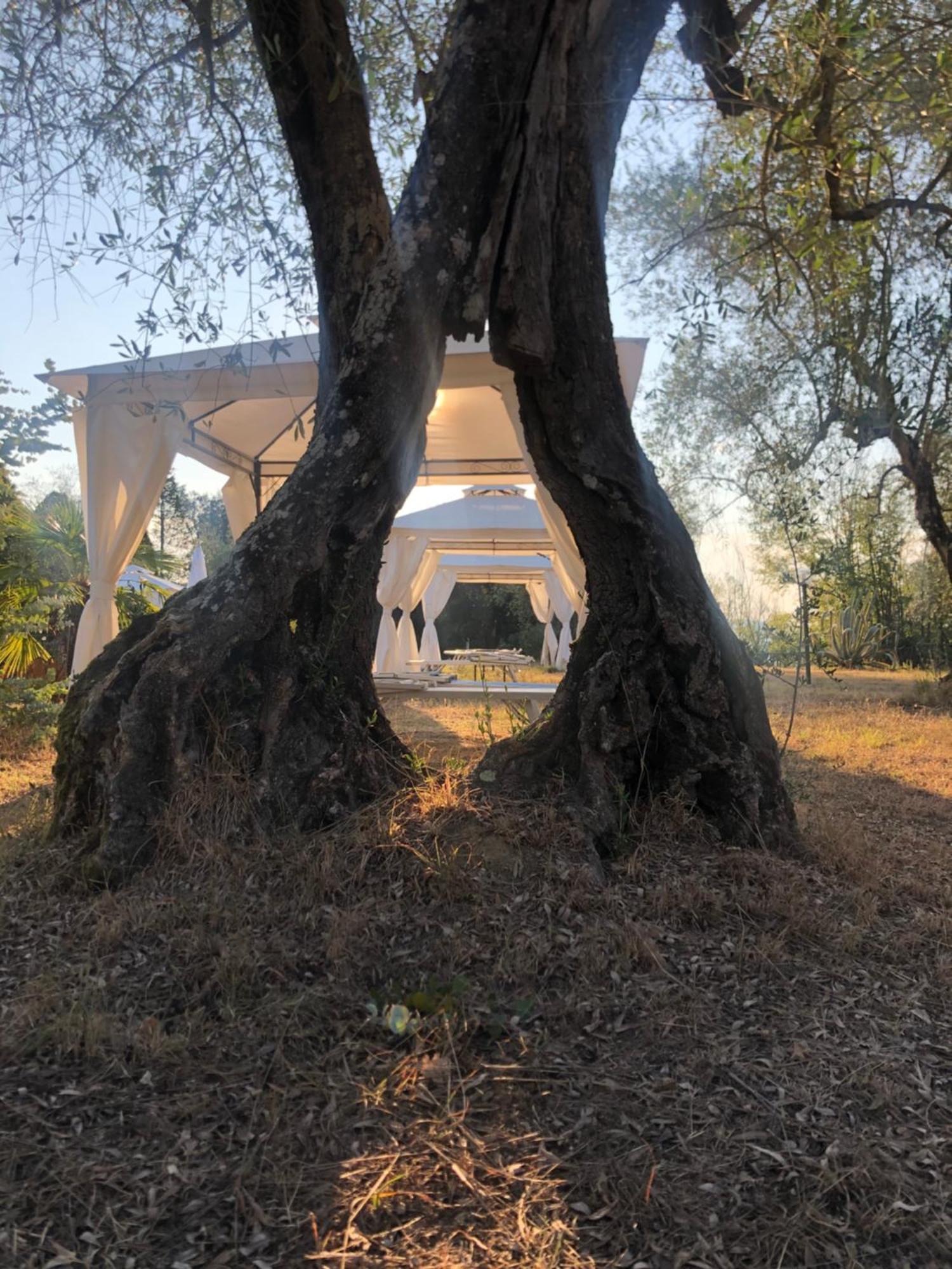 Willa La Casa D'Ambra Torre A Castello Zewnętrze zdjęcie