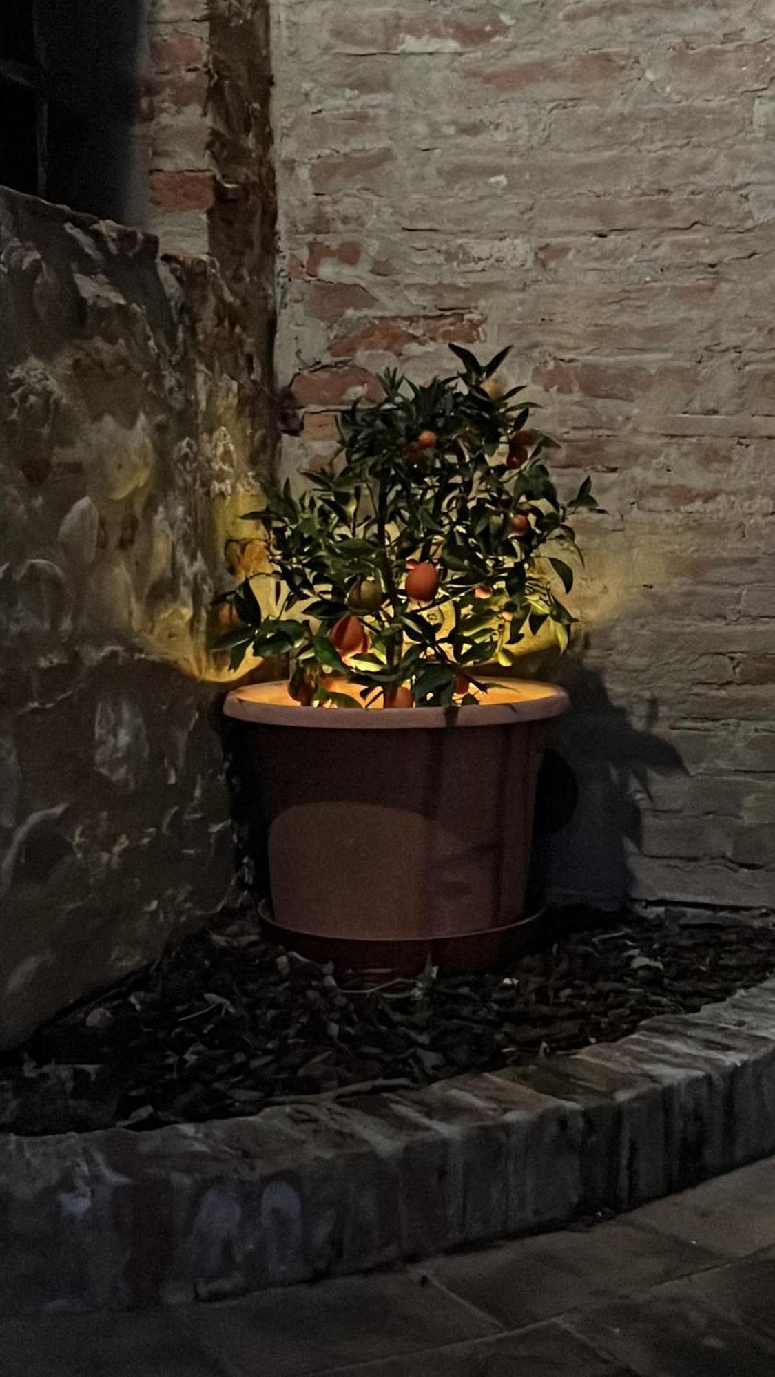 Willa La Casa D'Ambra Torre A Castello Zewnętrze zdjęcie